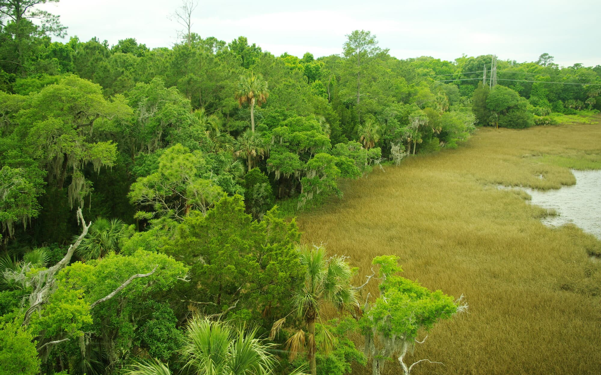 Palmetto Islands County Park, Charleston, a filming location for Outer Banks